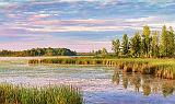 The Swale_24304
